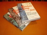chicken-soup-for-the-soul-stories-to-open-the-heart-and-rekindle-the-spirit--vol-i-on-love-and-learning-to-love-yourself--vol-2-