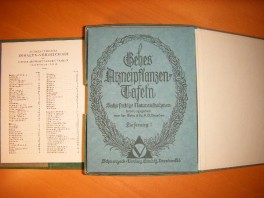 gehes--arzneipflanzentafeln-lieferung-122 gehes--arzneipflanzentafeln-lieferung-122