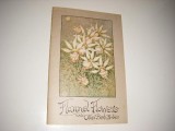 flannel-flowers