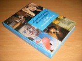 Klein Cultureel Woordenboek van de Nederlandse kunst
